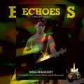 Will Sergeant’s autobiography, 'Echoes’, signed. USA EDITION.